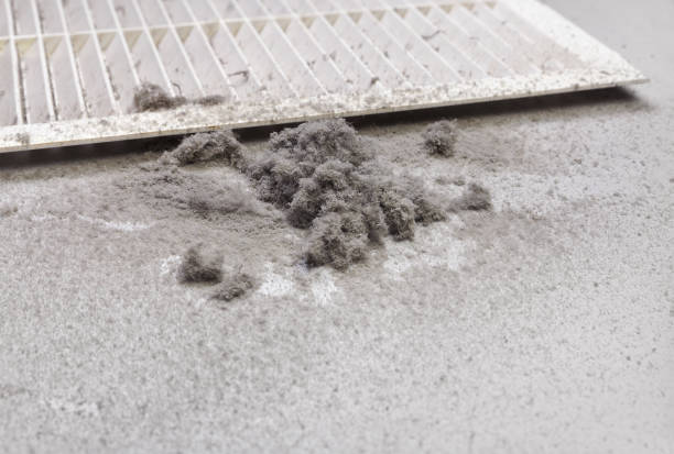 Best Affordable Duct Cleaning Services  in Westminster, CO