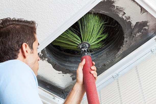 Best Air Duct Cleaning Near Me  in Westminster, CO