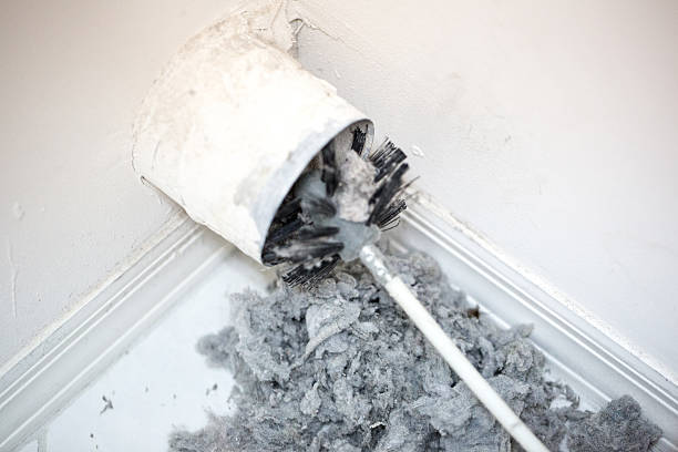 Best Professional Duct Cleaning Services  in Westminster, CO